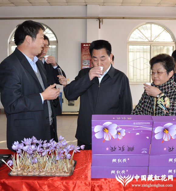 省长一行品尝“雪域红金”藏红花茶