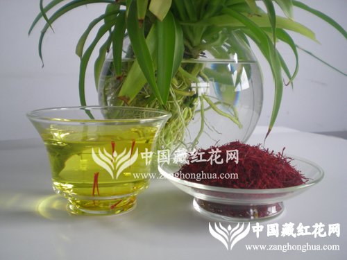 雪域红金藏红花茶