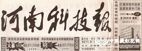 河南科技报2003.06.10报道:西红花的高产栽培技术