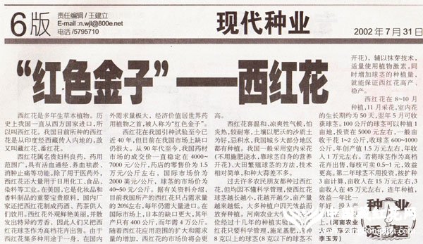 ũ屨2002.07.31ɫ컨