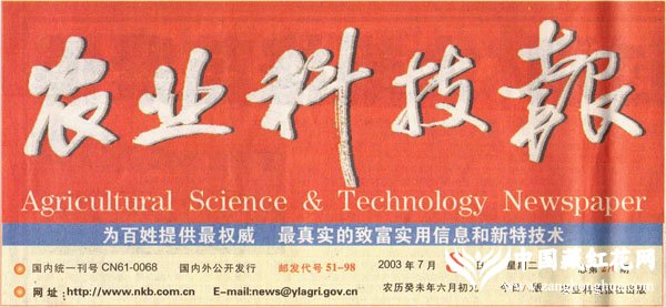农业科技报2003.07.08报道:追踪泊夫兰免费供种广告