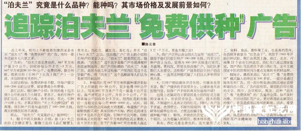 农业科技报2003.07.08报道:追踪泊夫兰免费供种广告