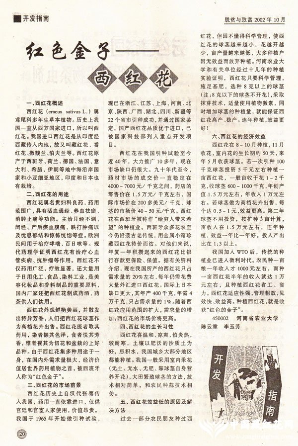 《脱贫与致富》杂志2002.10刊文:红色金子——西红花