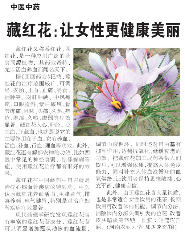 ձũ棩2011.01.12غ컨ŮԸ